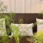 Apto Holibai Nidino, Escapada Parejas Y Su Mascota, Playa Cercana, Baiona, Galicia Appartement