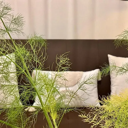 Apto Holibai Nidino, Escapada Parejas Y Su Mascota, Playa Cercana, Baiona, Galicia Lejlighed