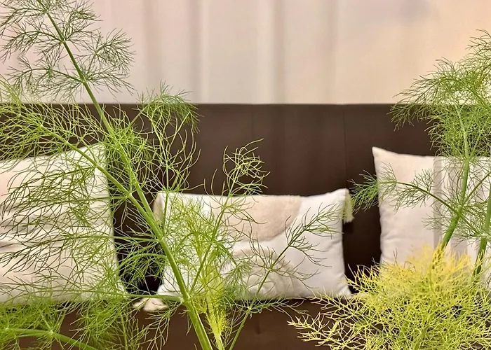 Apto Holibai Nidino, Escapada Parejas Y Su Mascota, Playa Cercana, Baiona, Galicia Appartamento